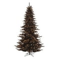thumbnail image 1 of Vickerman Black Fir Pre-lit Christmas Tree, 1 of 1