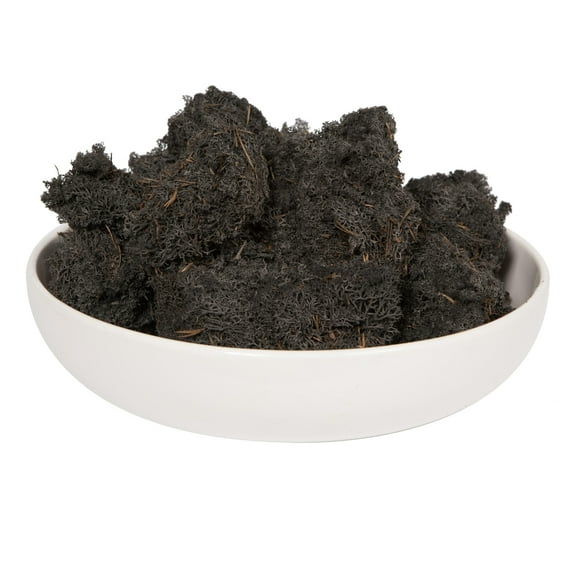 Vickerman Black Preserved Reindeer Moss, 2 Lbs per Box