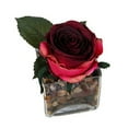 thumbnail image 1 of Vickerman Dark Red Rose in Square Glass Vase, 1 of 4
