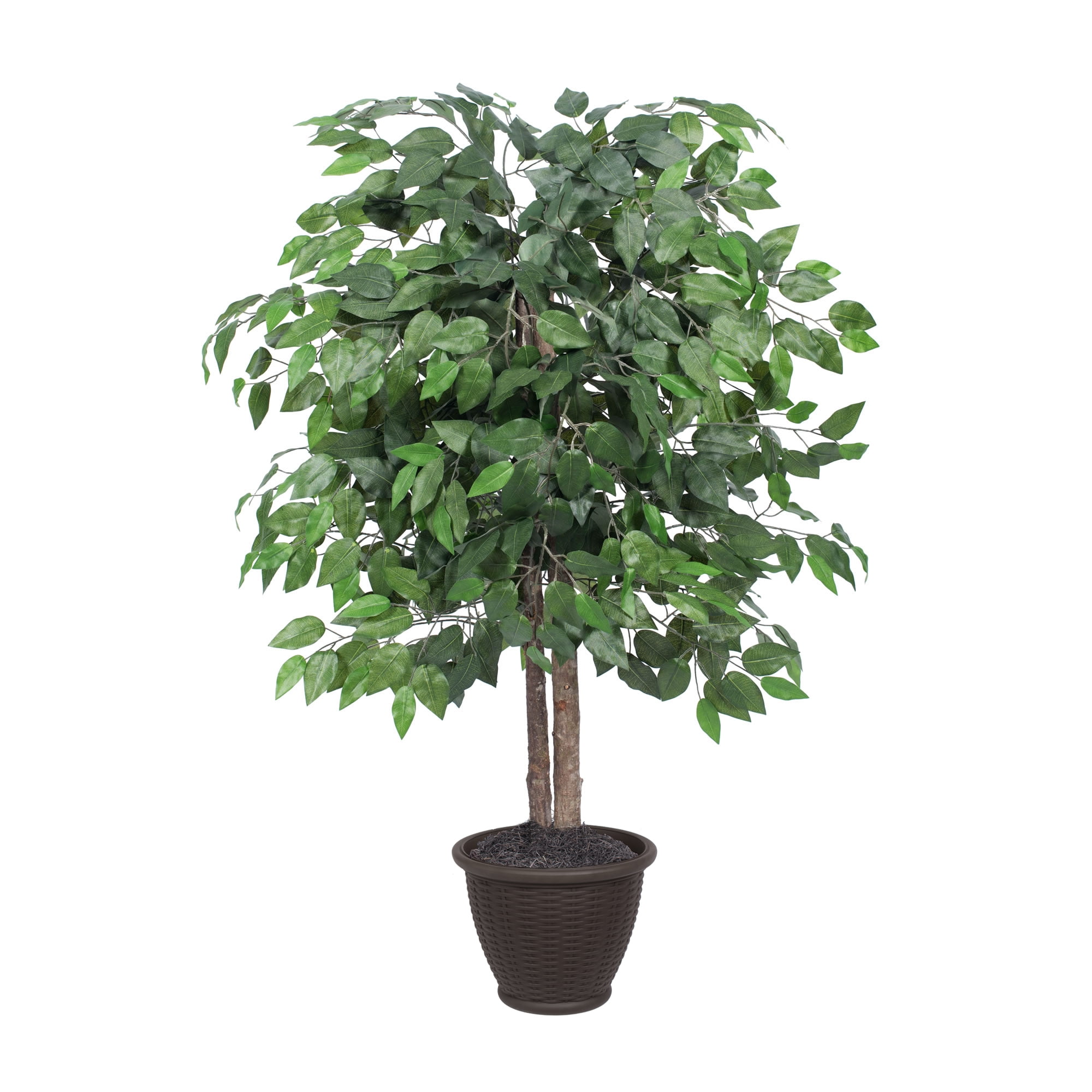 Lush Green Ficus Floor Plant in Brown Plastic Pot