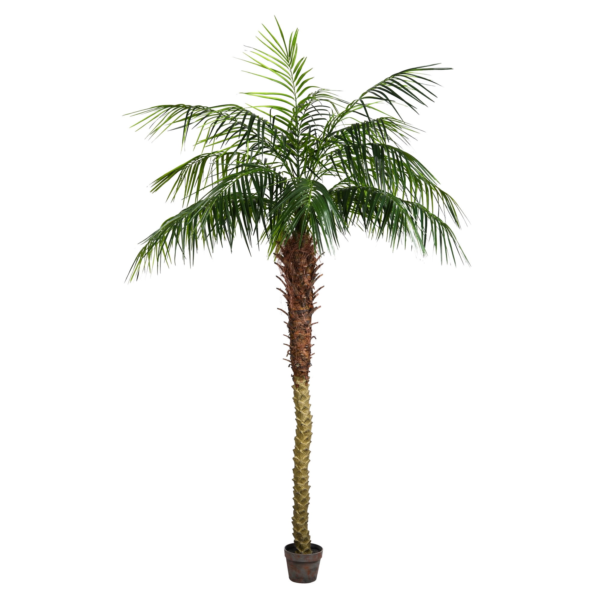 Vickerman 7' Artificial Potted Phoenix Palm Tree.