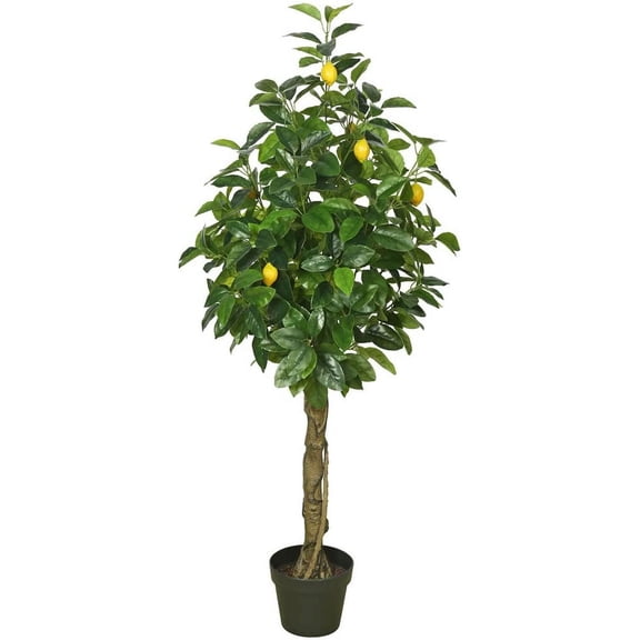 Vickerman Flowering Lemon Tree (Set of 2)