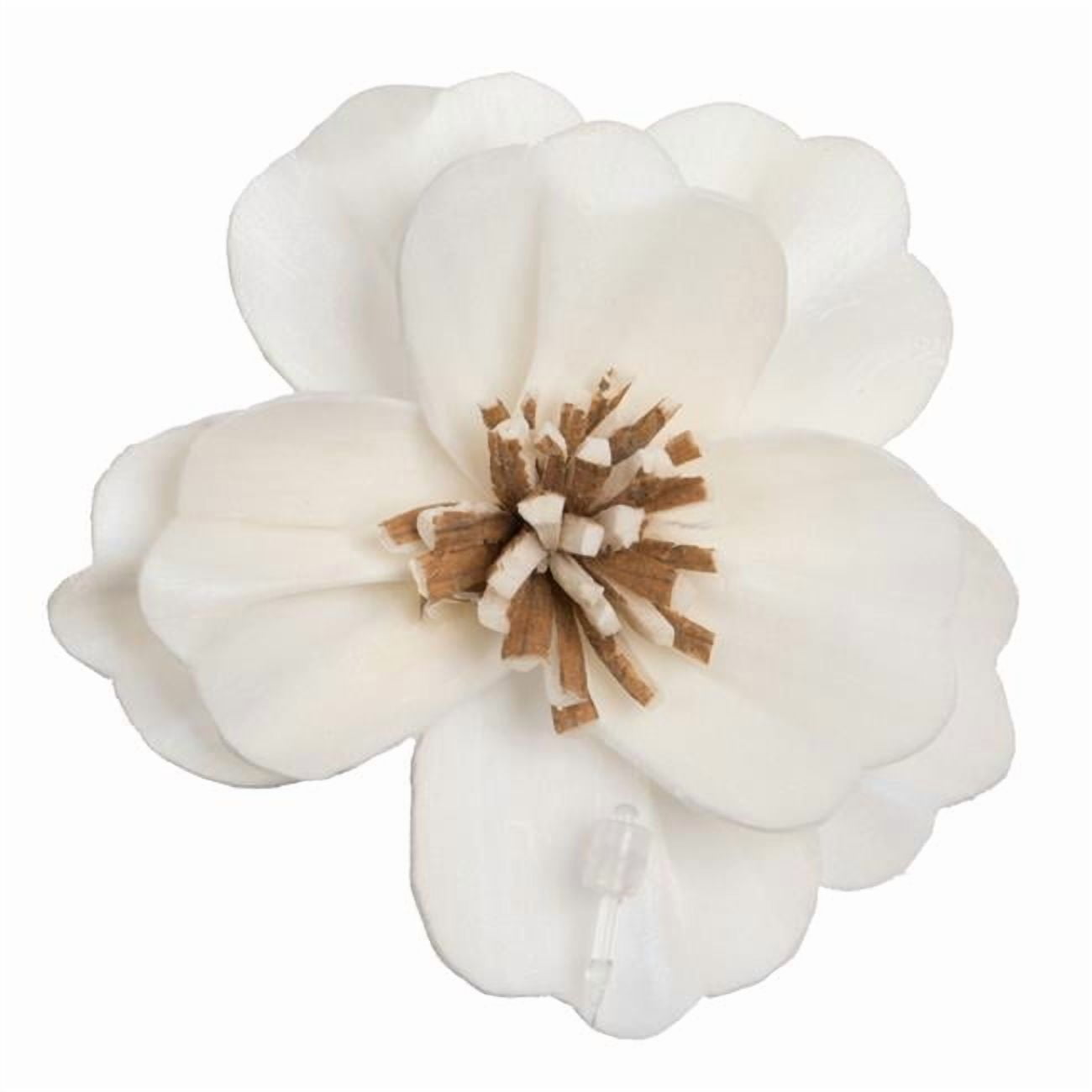 Vickerman 686355 - 1-3" Assorted Anemone Sola Head 24/bg (H7SFL038) Dried and Preserved Flowers