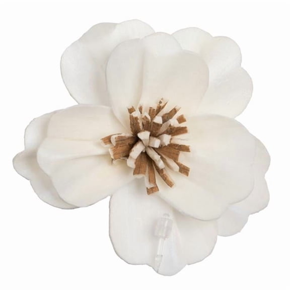 Vickerman 686355 - 1-3" Assorted Anemone Sola Head 24/bg (H7SFL038) Dried and Preserved Flowers