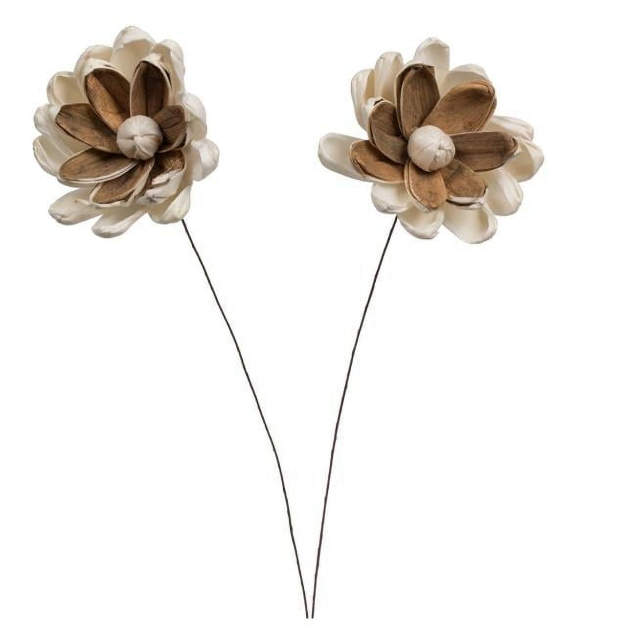 Vickerman 686225 - 4" Lillian Sola Flower on 12" Stem 12/bg (H7SFS004) Dried and Preserved Flowers