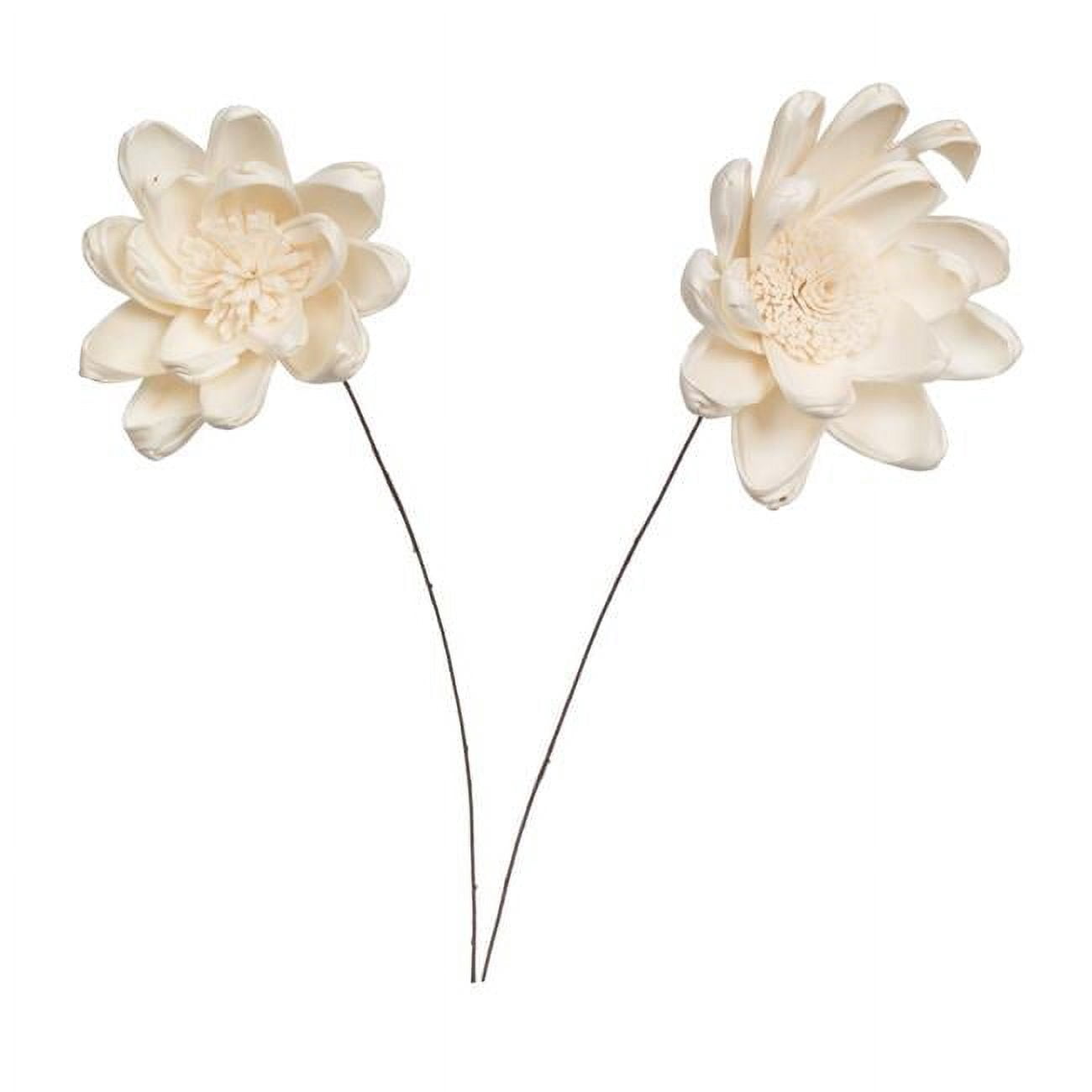 Vickerman 686409 - 4" Crocus Sola Flower on 12" stem 12/bg (H7SFS060) Dried and Preserved Flowers