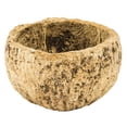 thumbnail image 1 of Vickerman Half Bleached Mayan Coconut 3" Wide, Real Preserved Coconut Decor for Home or Everyday Arrangements, 10 Pieces Per Pack, 1 of 5