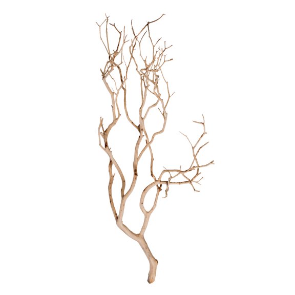 Vickerman Manzanita Tree Sand Blasted 24", Dried