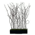 thumbnail image 1 of Vickerman Natural Birch Branches in Black Rectangle Pot, 1 of 3