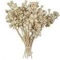 thumbnail image 1 of Vickerman Natural Botanicals 11" x 2-4" Conical Gum Branch Bleached, 20 stems per unit, 1 of 5