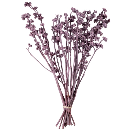 Vickerman Natural Botanicals 13" x 1-3" Red Gum Branch Brombeer Frosted, 14 stems per unit