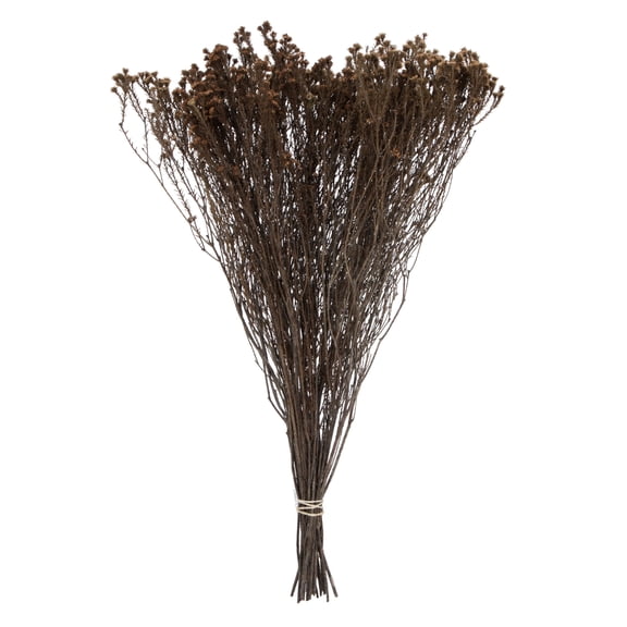 Vickerman Natural Botanicals 19" x 4" Staavia, 100 grams per Unit