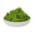 thumbnail image 1 of Vickerman Natural Botanicals 2 lb. Apple Green Reindeer Moss. This is a natural and preserved product., 1 of 3
