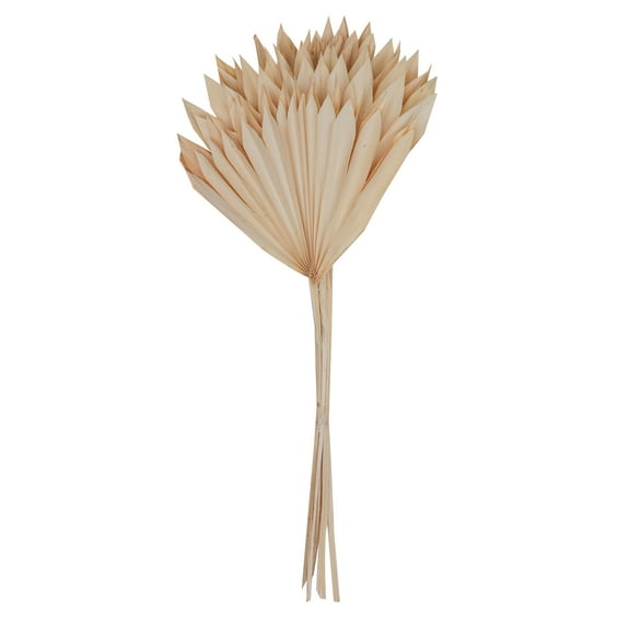 Vickerman Natural Botanicals 20" Bleached Palm Sun Stem. Includes 12 Pieces per Bunch.