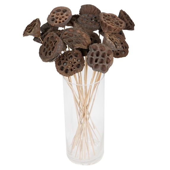 Vickerman Natural Botanicals 20" Lotus Pod, Medium on Stem. Includes 50 pieces per Pack.