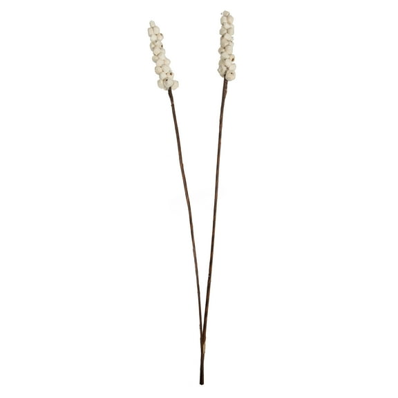 Vickerman Natural Botanicals 24" Natural Dried Sola Berries Stick- 24/bag. Dried and preserved.