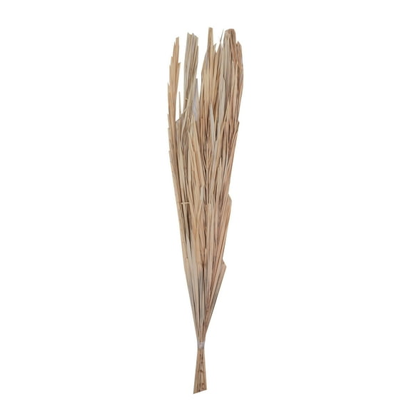 Vickerman Natural Botanicals 25" Bleached Canna Leaf 10 Pieces per Bunch.