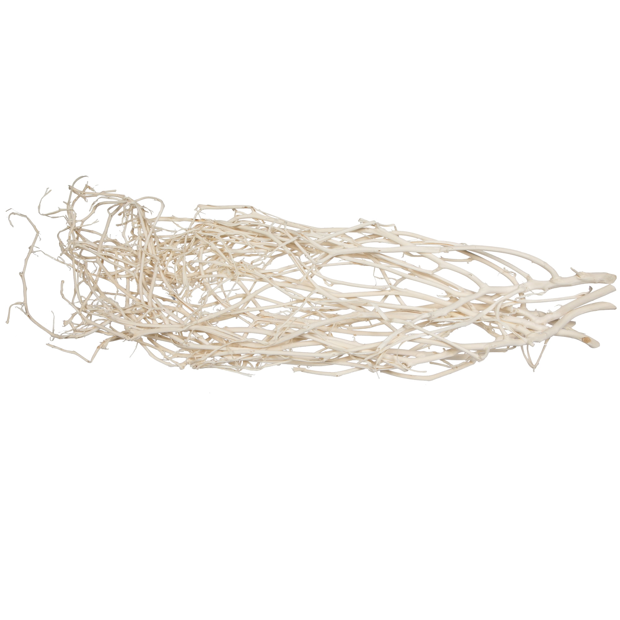 Bleached Natural Botanicals 32" Dried Tree Decor