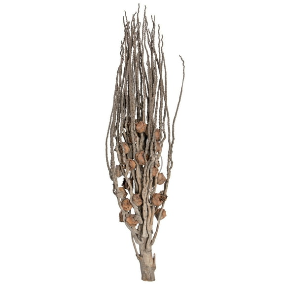 Vickerman Natural Botanicals 32" Coco Jhar, Natural. Includes 10  pieces per Pack.