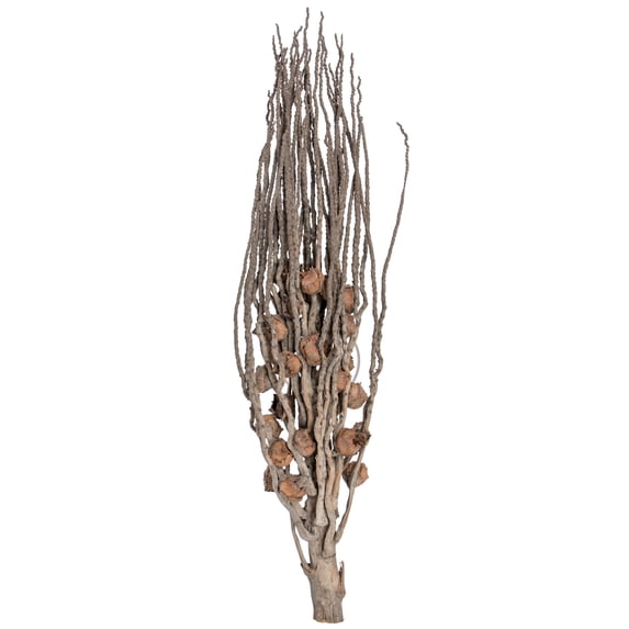 Vickerman Natural Botanicals 32" Coco Jhar, Natural. Includes 10 pieces per Pack.