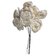 thumbnail image 1 of Vickerman Natural Botanicals 4" Peony Sola Flower on 12" Stem, 12 Stems per Bag, 1 of 1