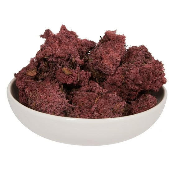 Vickerman Natural Botanicals 9 lb. Burgundy Reindeer Moss, Preserved.