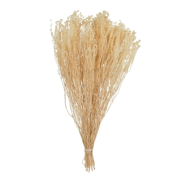 Vickerman Natural Botanicals  Staavia Bleached, 100 grams per Unit