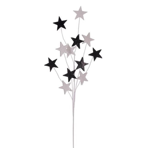 Vickerman QG224304 34 in. Black & White Star Glitter Spray, 6 Piece - Pack of 30