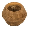 thumbnail image 1 of Vickerman SAPA POD MEDIUM, NATURAL (CP-__), Dried, 1 of 2