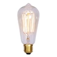 thumbnail image 1 of Vickerman ST58 Clear Edison E26 Bulb 40W120V.33Amp, 1 of 1