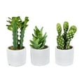 thumbnail image 1 of Vickerman Set of 3 Assorted 7" Potted Artificial Cactus Plants, Set of 3, 1 of 3