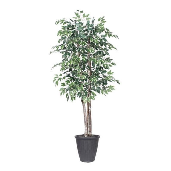 Vickerman TDX0260-RG 6 ft. Variegated Deluxe Round Grey Container Decorative Plant, Green & White