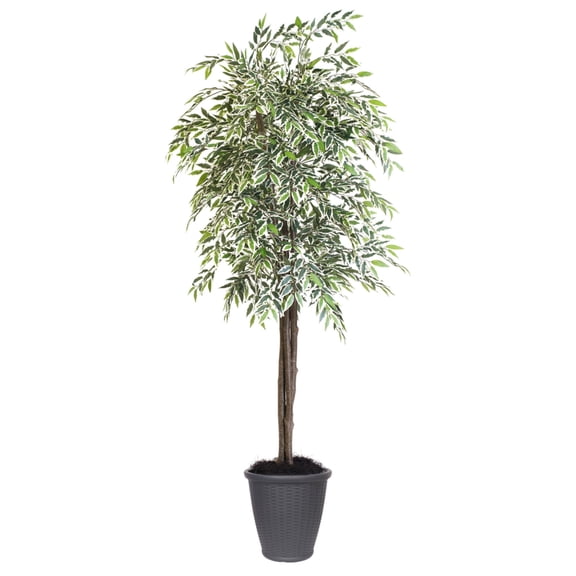 Vickerman TDX1360-RG 6 ft. Varigated Smilax Deluxe Round Tree in Container, Green & Grey