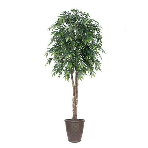 Vickerman TDX1460-RB 6 ft. Green Smilax Deluxe Round Tree in Container, Green & Brown