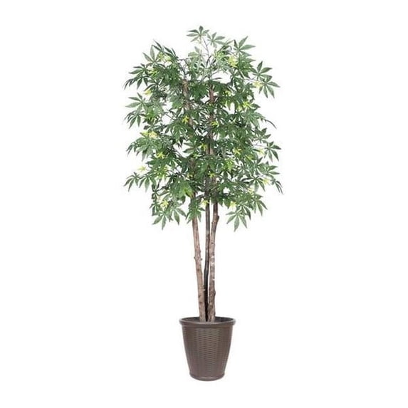 Vickerman TDX1860-RB 6 ft. Japanese Maple Deluxe Round Tree in Container, Green & Brown