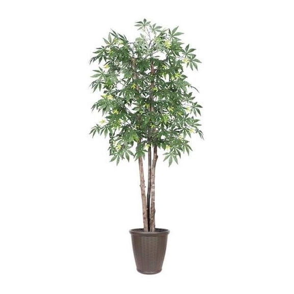 Vickerman TDX1860-RB 6 ft. Japanese Maple Deluxe Round Tree in Container, Green & Brown