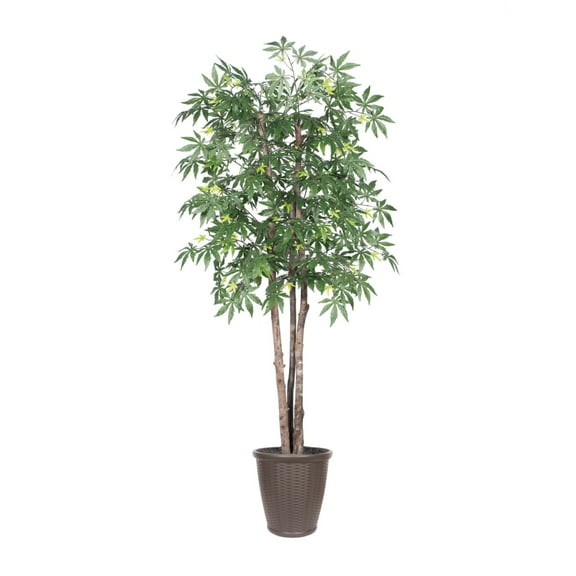 Vickerman TDX1860-RB 6 ft. Japanese Maple Deluxe Round Tree in Container, Green & Brown