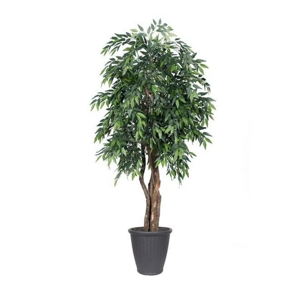 Vickerman TEX1460-RG 6 ft. Smilax Executive Tree - Round Grey Container, Green