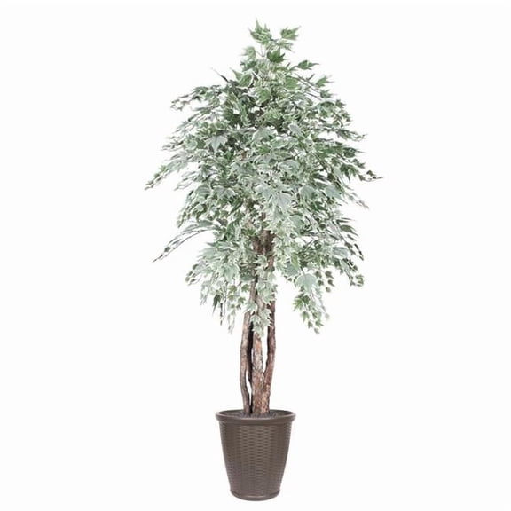 Vickerman TEX1660-RB 6 ft. Silver Maple Executive Round Brown Container Everyday Tree, Green