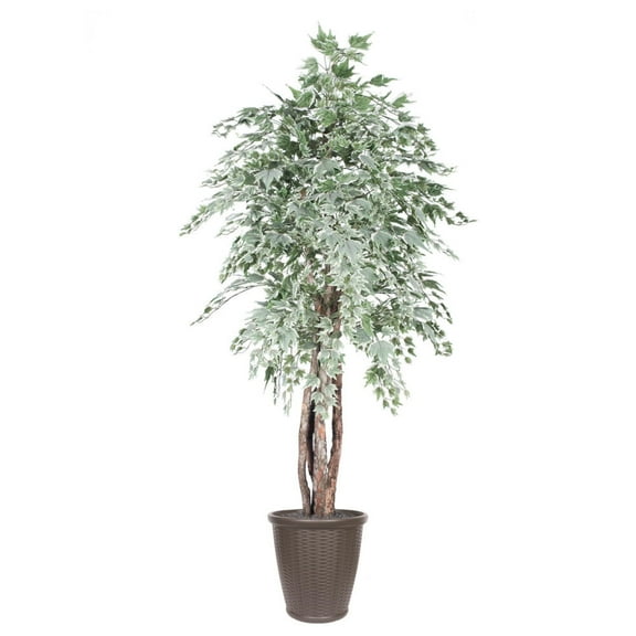 Vickerman TEX1660-RB 6 ft. Silver Maple Executive Round Brown Container Everyday Tree, Green