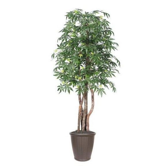 Vickerman TEX1860-RB 6 ft. Japanese Maple Executive Round Tree, Green & Brown