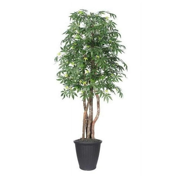 Vickerman TEX1860-RG 6 ft. Japanese Maple Executive Round Tree, Green & Grey