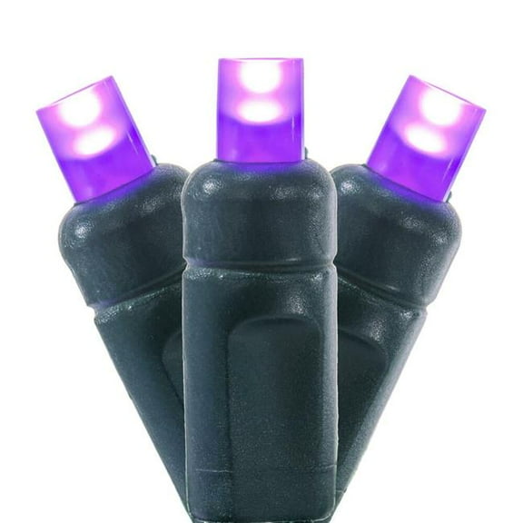 Vickerman X6G66506PBG 50 Light LED 6 in. x 25 ft. WA Coax Set - Purple