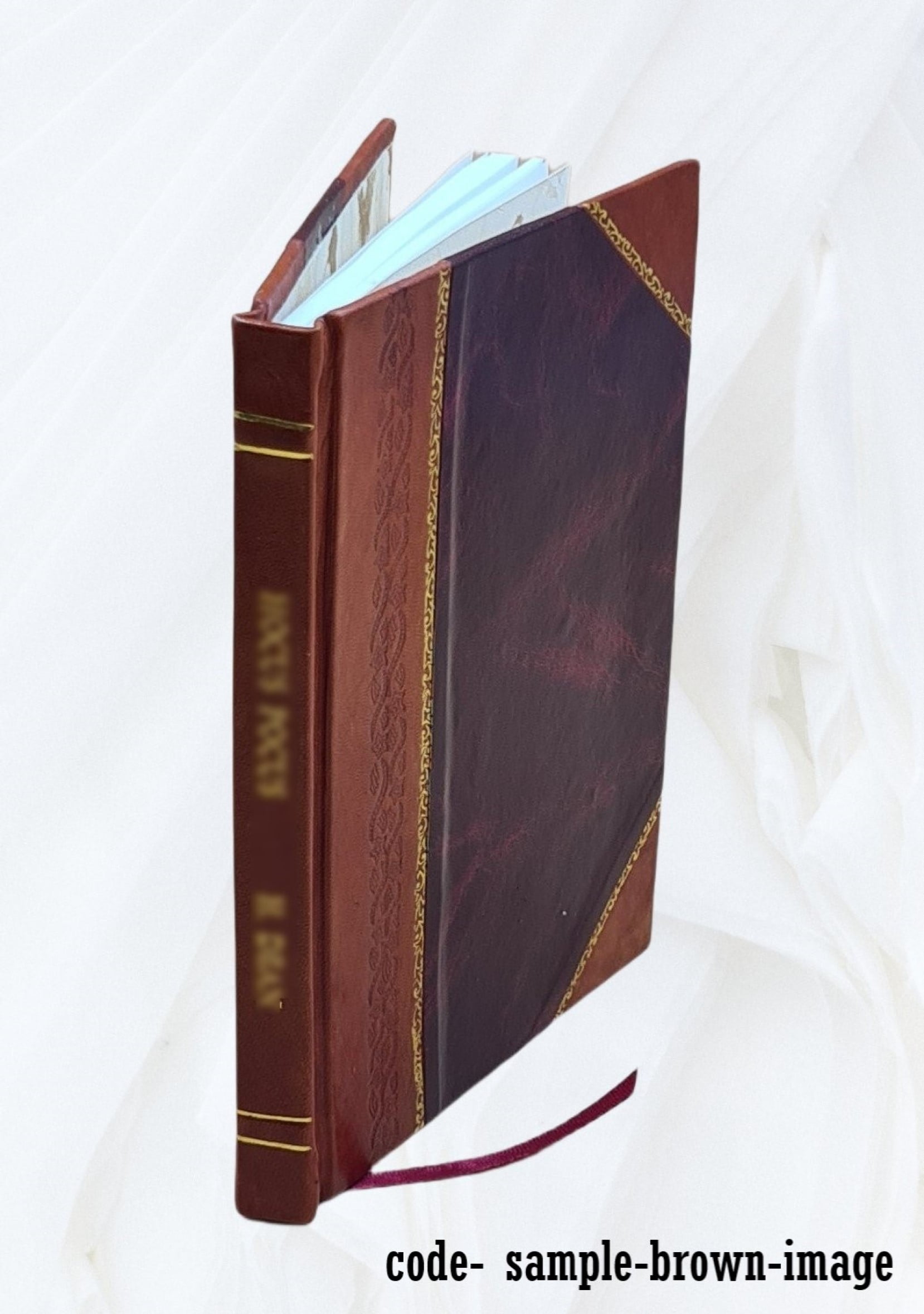 Vicksburg / by J. Frank Hanly. 1912 [Leather Bound]