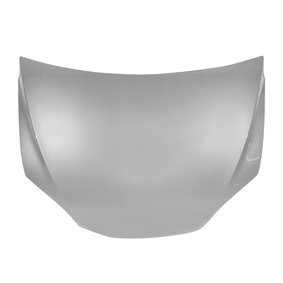 Vicrez Replacement Hood vz102613 for Tesla Model X 2018-2022
