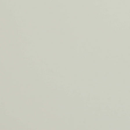 Vicrez Vinyl Car Wrap Film vzv10614 Ultra Gloss Light Ivory | 5ft. x 3 ft.