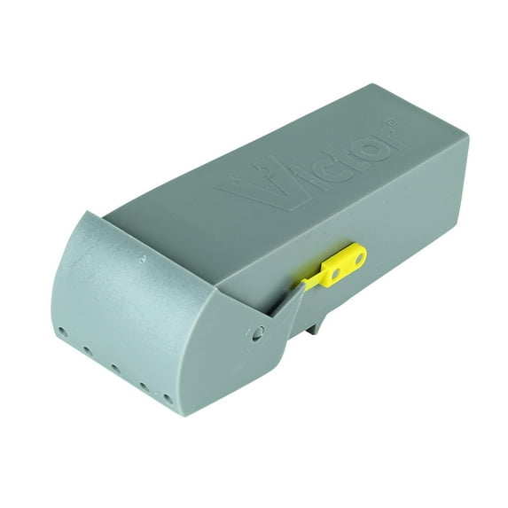 Victor 2-Pack Live Catch Mouse Trap