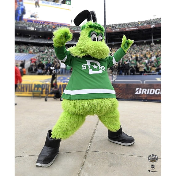 Victor E. Green Dallas Stars Unsigned 2020 Winter Classic Photograph