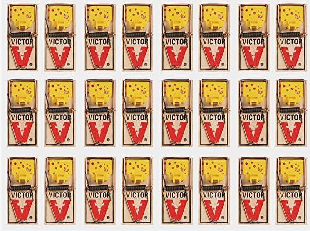 VICTOR M035 MOUSE TRAP Victor EZ Set Mouse Trap Pack of 6