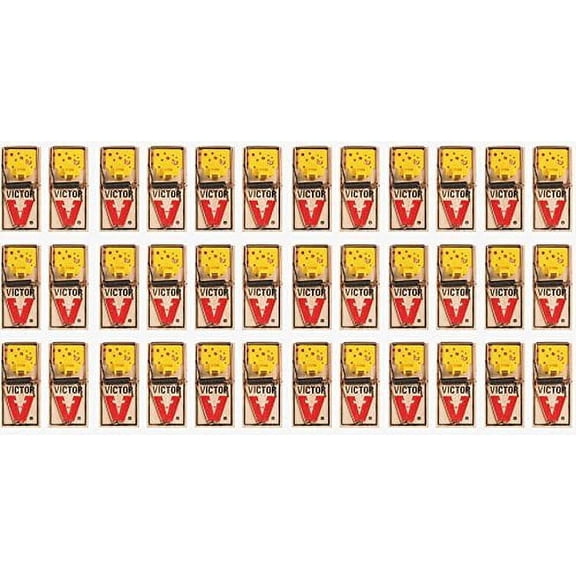 Victor EZ set mouse trap Pack of 36